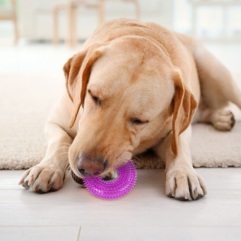 Pet Dog Chew Bite Toys Circle Ring Squeeze Tooth Cleaning Sound Funny Puppy T