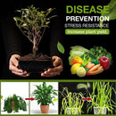 Microbial Agent Promote Rooting Plant Prevent Hardening for Flower Plant Gr
