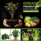 Microbial Agent Promote Rooting Plant Prevent Hardening for Flower Plant Gr