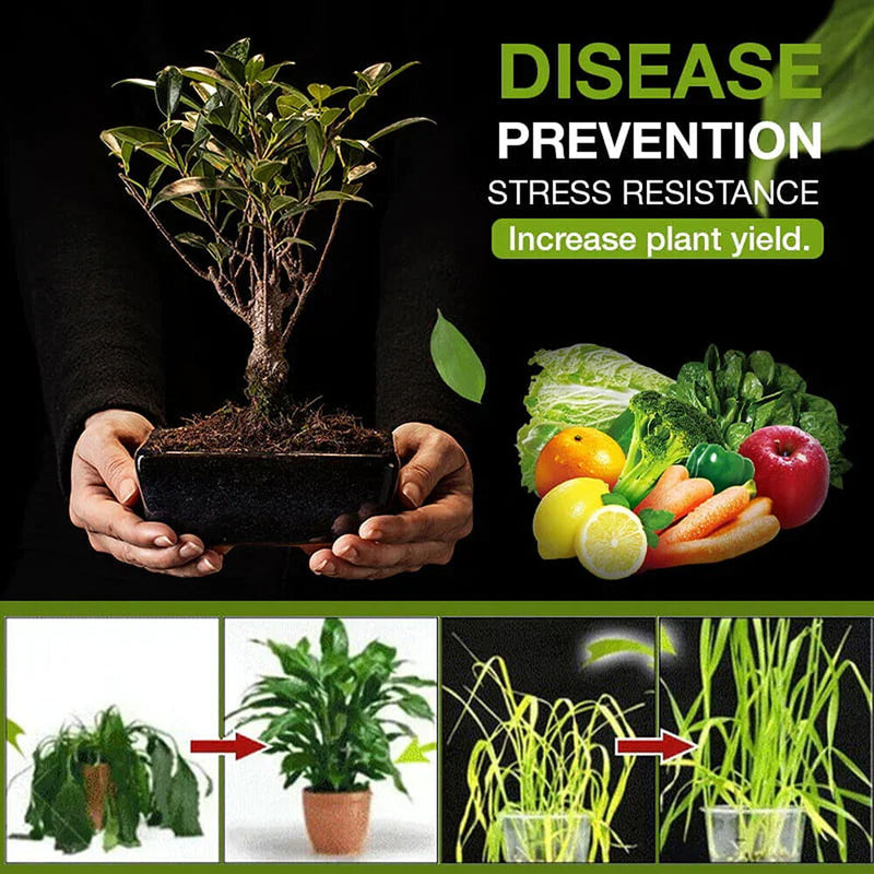 Microbial Agent Promote Rooting Plant Prevent Hardening for Flower Plant Gr