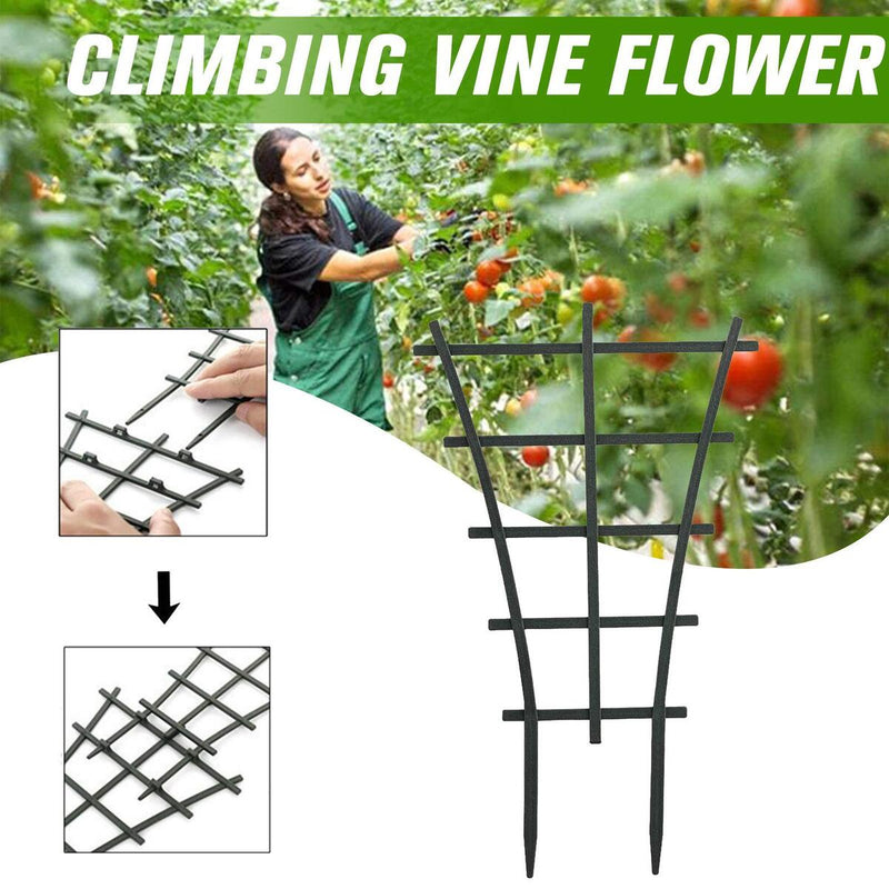 Climbing Vine Rack Plant Potted Support Frame Flower Vegetables Bracket Garden: