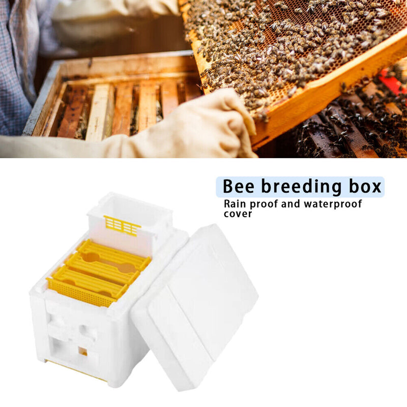 Beehive Pollination King Bees Hive Box Beekeeping Case Beekeeper Supplies Newly