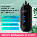 Mini Air Purifier USB Personal Wearable Hanging Necklace Fresher (Black)