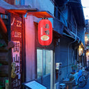 25cm Painting Lantern Japanese Style Fabric Hanging Restaurant Decor (C) Newly