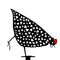 Acrylic Chicken Ornament Backyard Lawn Stakes Yard Art Outdoor Garden Decorat