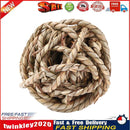 Pet Supplies Small Animal Chew Braid Grass Ball Toys for Rabbits Hamster Newly