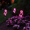 2pcs LED Solar Neon Lights Outdoor Flamingo Lawn Stake Lamp Garden Decoration