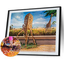 5D DIY Diamond Painting Kits Full Round Drill Giraffe Drinking Water Art Pi