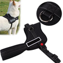 Adjustable Harness  Pulling Padded Large Dog Harness Collar (Black)(L)