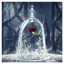 Red Rose 5D Diamond DIY Painting Kit Home Decor Craft 30 X 30cm Newly