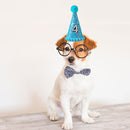 Pet Dog Birthday Hat with Number Cat Headwear Costume Party Decoration Supplies