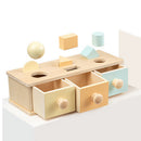 Wooden Ball Drawer Early Learning Matching Blocks Teaching Aids Sorting for