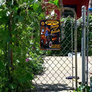 Old Ironsides: Eagle of the Sea: The Story of the USS Constitution