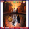 DIY Coloring Picture Oil Paint by Numbers Reflection Tiger Lion Acrylic Dra