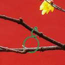 Plant Garden Stem Support Clips, Grow Upright Bundled Ring for Tomato Trellis