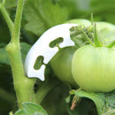 200pcs Tomato Grafting Fixing Clip Garden Fruit Seedling Reinforcement Clip