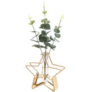 Triangle Rectangle Glass Test Tube Hydroponic Vase Iron Art Pentagram Heart