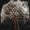 LED Net Curtain Fairy Lights Solar Wedding Party Garden Decor (Cold White) Newly