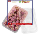 Dried Flower Material - Real Pressed Dry Flowers & Leaves Set for Nail Art Make