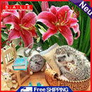 Full Drill Round Rhinestone DIY 5D Mosaic Hedgehog Clock Painting Kit Room Decor