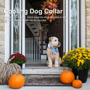 #A Pets Cooling Ice Collar Summer Soft Ice Scarf for Small Medium Large Dogs