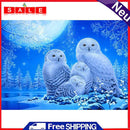 5D Diamond Painting DIY Owl Full Drill Round Rhinestone Art K125