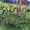 Solar LED Watering Can Lamp Hanging Bracket Holder Garden Pathway Decoration