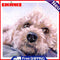Oil Paint By Numbers Pet Dog on Canvas Digital Painting DIY Wall Art Handicraft