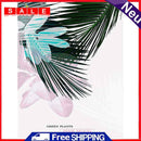 DIY Colouring Wall Pictures Posters Green Plants Hand Painted Oil Paint Painting