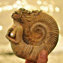 Ammonite Woman Ancient Spirit Mini Statue Desktop Decor Ornament S1J5