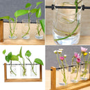 Frame Plant Flower Pot Flower Arrangement Glass Vase Hydroponic Plant Vase