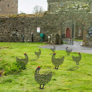 Acrylic Hollow Chicken Ornaments Backyard Lawn Stakes Yard Art Decor (E) Newly