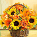 Decor Numbers Kits Art 5D Diamond Painting Embroidery Sunflower Cross stitch