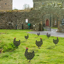 Acrylic Hollow Chicken Ornaments Backyard Lawn Stakes Yard Art Decor (A) Newly