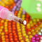 Round Drills Package DIY Embroidery Diamond Painting Rhinestones (DMC 3770)