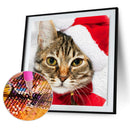 5D Diamond Painting Cat Full Round Drill Mosaic Art Home Wall Decor (A1075)