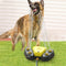 #A Summer Dog Water Sprinkler Outdoor Automatic Water Dispenser Drinking Fountai