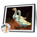 Oil Paint Animal By Numbers Coloring Picture Digital