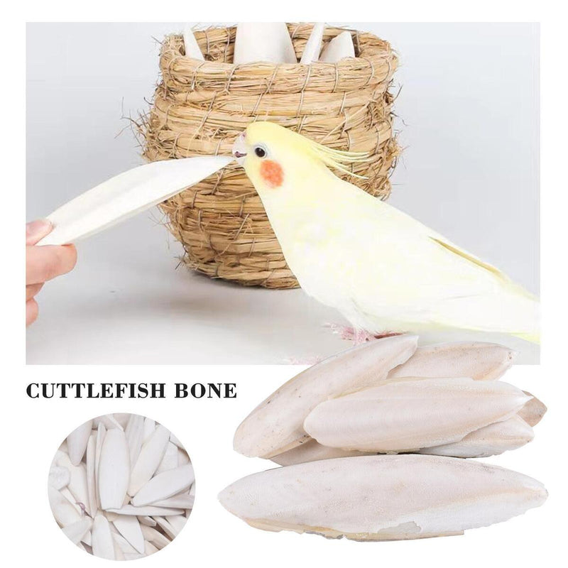 1 bag Cuttlebone Cuttlefish Bone Sepia Cuttle Fish Food Pickstone Calcium N3Z3
