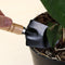 Digging Tool Basic Bonsai Tools Plant Transplant Tool Gardening Tools Kit