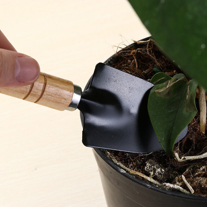 Digging Tool Basic Bonsai Tools Plant Transplant Tool Gardening Tools Kit