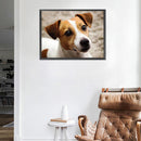 5D DIY Diamond Painting Kits Grey White Dog Full Round Drill Home Decoration Set