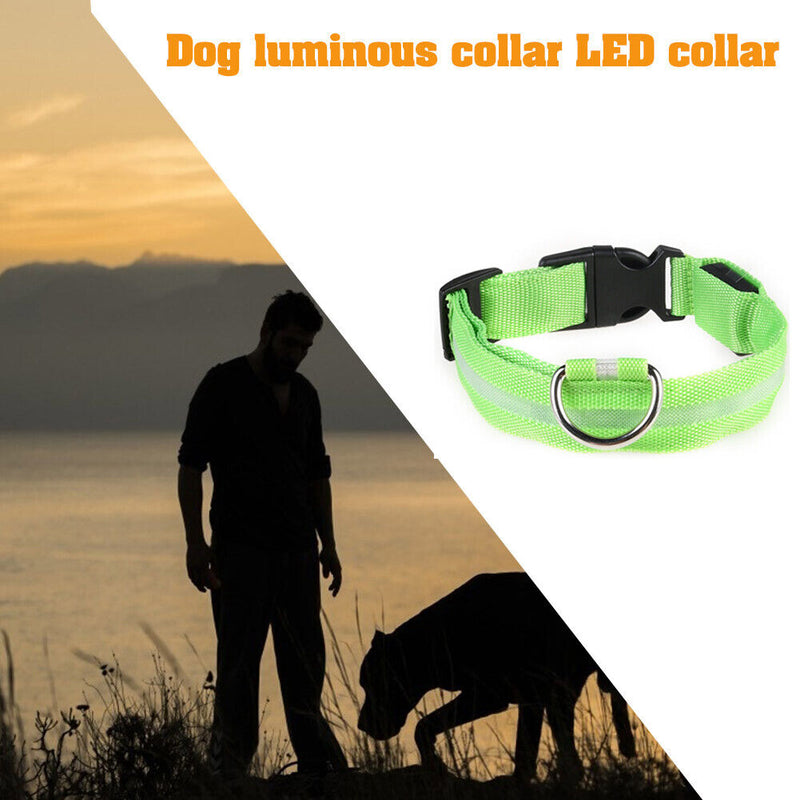 LED Dog Luminous Necklace Outdoor Walking Pet Night Safety Collar (Green M)