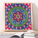 5D DIY Special Shaped Diamond Painting Colorful Flowers Cross Stitch Embroidery