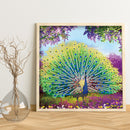 Part Special Shaped Drill Diamond Painting Peacock Mosaic Picture Art Craft