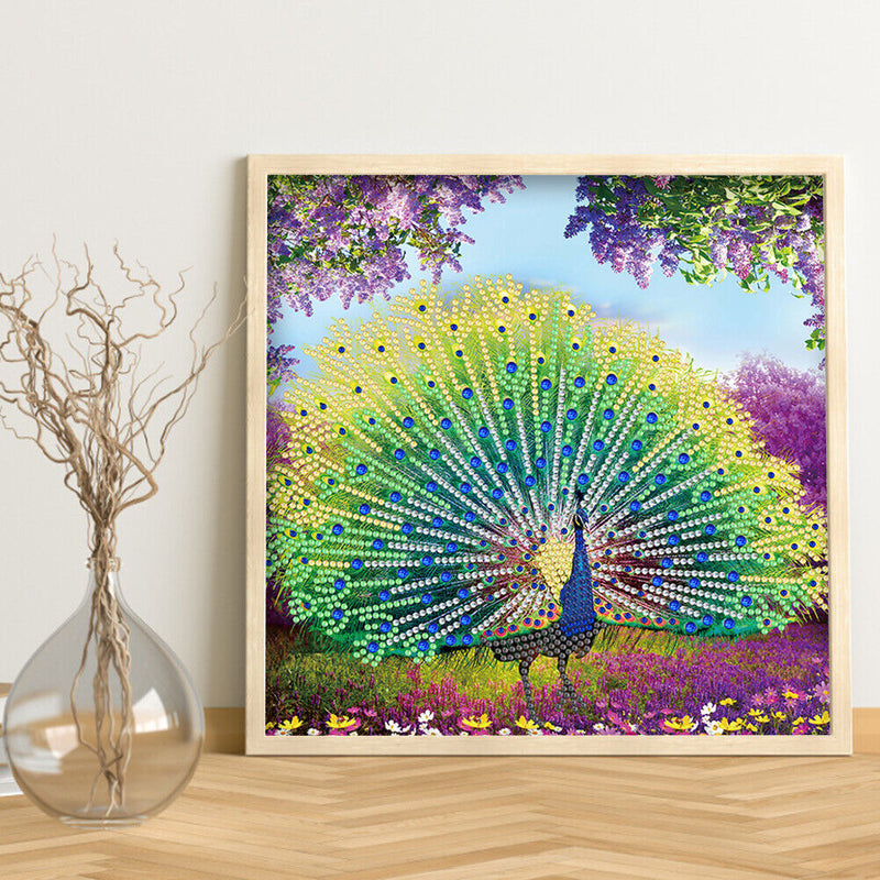 Part Special Shaped Drill Diamond Painting Peacock Mosaic Picture Art Craft