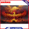 Flaming Phenix Oil Paint By Numbers Kits DIY Craft Coloring Drawing Home Decor