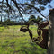 Art Hanging  Metal  Peeping Cow Ornaments Outdoor Garden Adornment Decor hot.