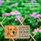 Wood Cute Dog Tags Hanging Board Pet Signs Dog House Door Wall Decor (5) Newly