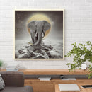 5D DIY Diamond Painting Kits Full Round Drill Moonlight Elephant Mosaic Gift (2)